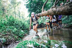 BIB: 
                            <button type="button" onclick="openModal(25457848)" class="btn btn-primary btn-sm float-right btn-popup" data-toggle="modal" data-target=".modal-high-quality">
                        <i class="fas fa-shopping-cart"></i> Add to Cart
                    </button>
                                            <button type="button" onclick="isThisMe(25457848, true)" class="btn btn-success btn-sm float-right btn-popup btn-isme hidden" data-toggle="tooltip" data-placement="bottom" title="นี่คือรูปของคุณใช่ไหม คลิกที่นี่เพื่อเอาเข้าอัลบั้ม">
                        <i class="fas fa-plus"></i> Add to album
                    </button>
                    <button type="button" onclick="isThisMe(25457848, false)" class="btn btn-warning btn-sm float-right btn-popup btn-isnotme hidden">
                        <i class="fas fa-ban"></i> Remove from album
                    </button>